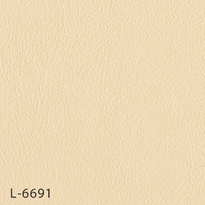 L-6691