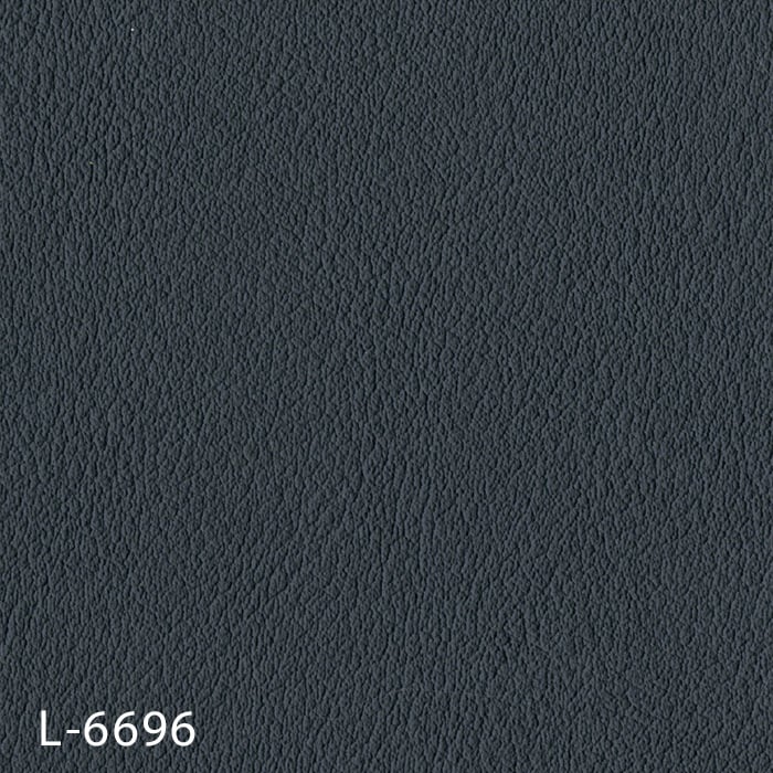 L-6696