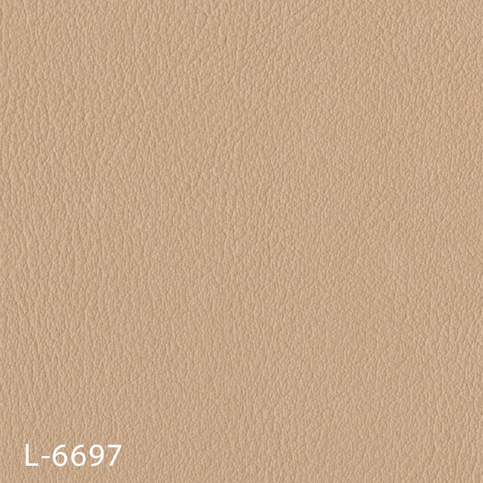 L-6697