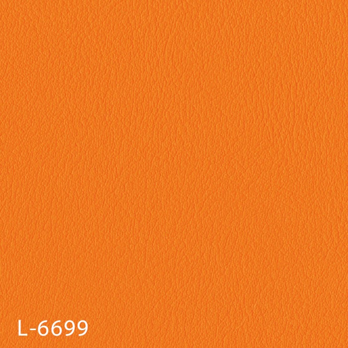 L-6699