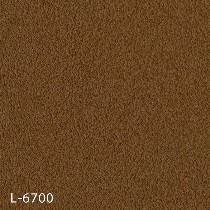 L-6700