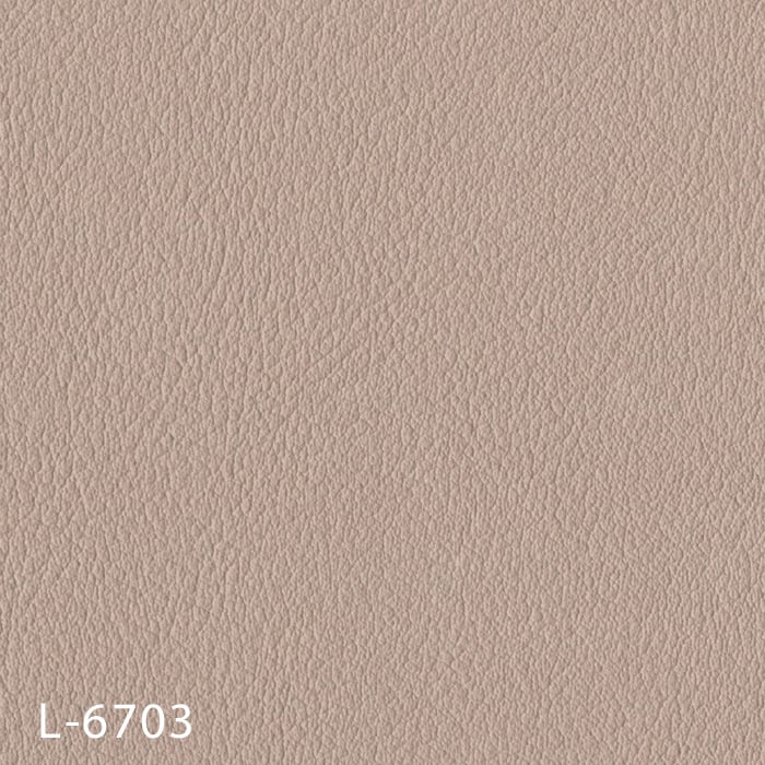 L-6703