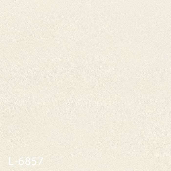 color chip