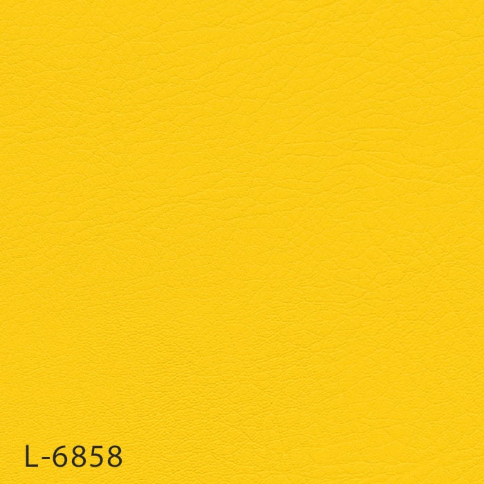 color chip