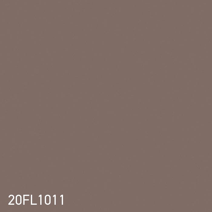 color chip