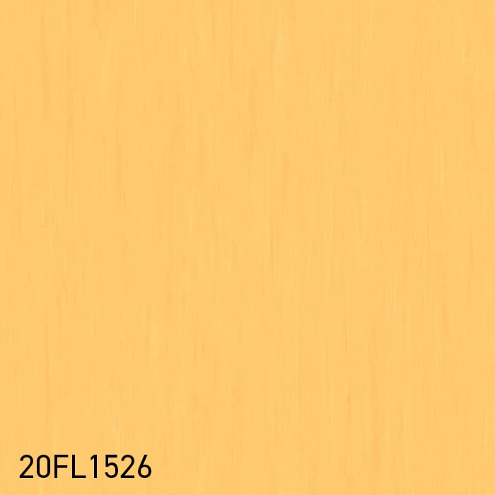 color chip
