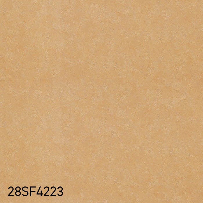 color chip