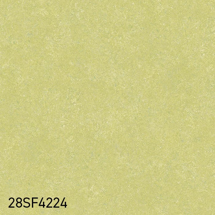 color chip