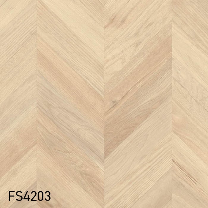 FS4203