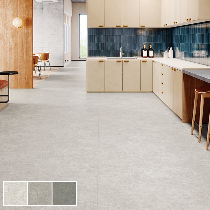 専用ペトロフィルエリシフォリア　2 fs4240-g.jpg