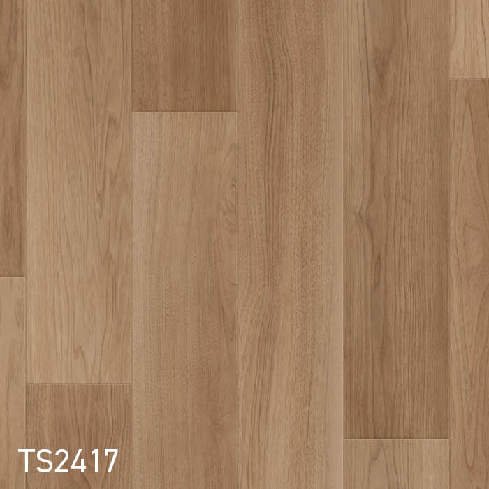 TS2417