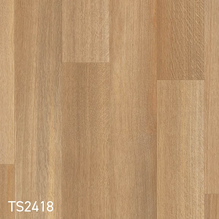 TS2418