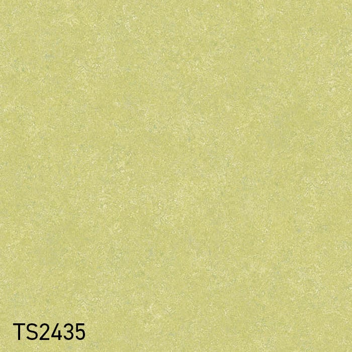 color chip