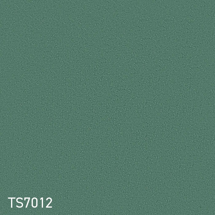 color chip