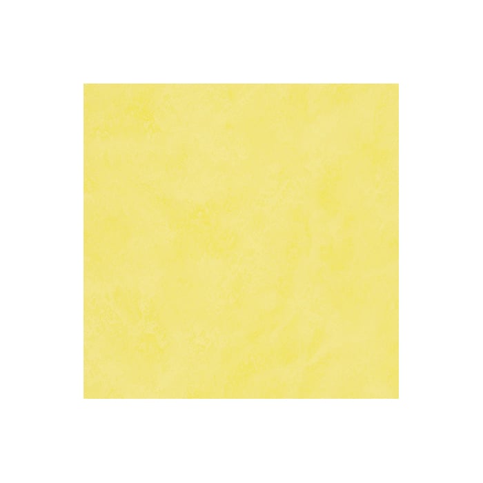 color chip