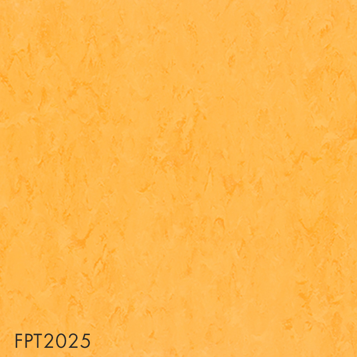 FPT2025