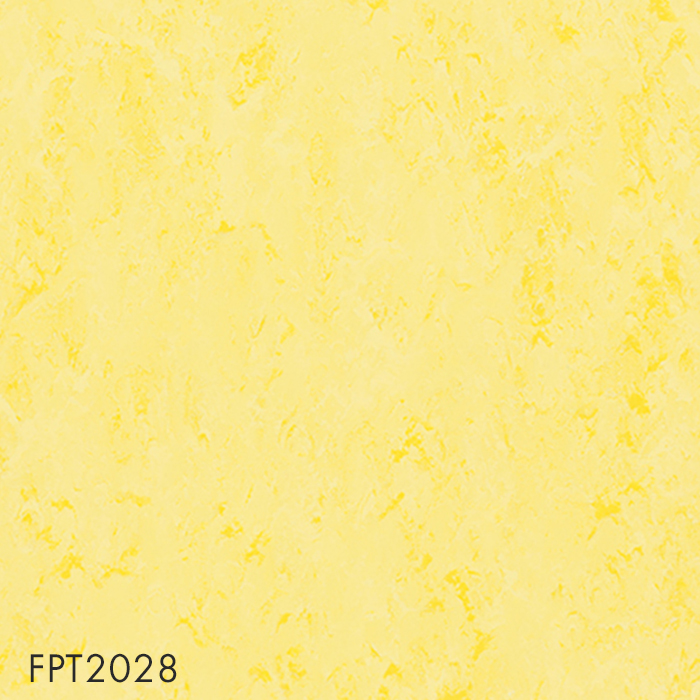 FPT2028