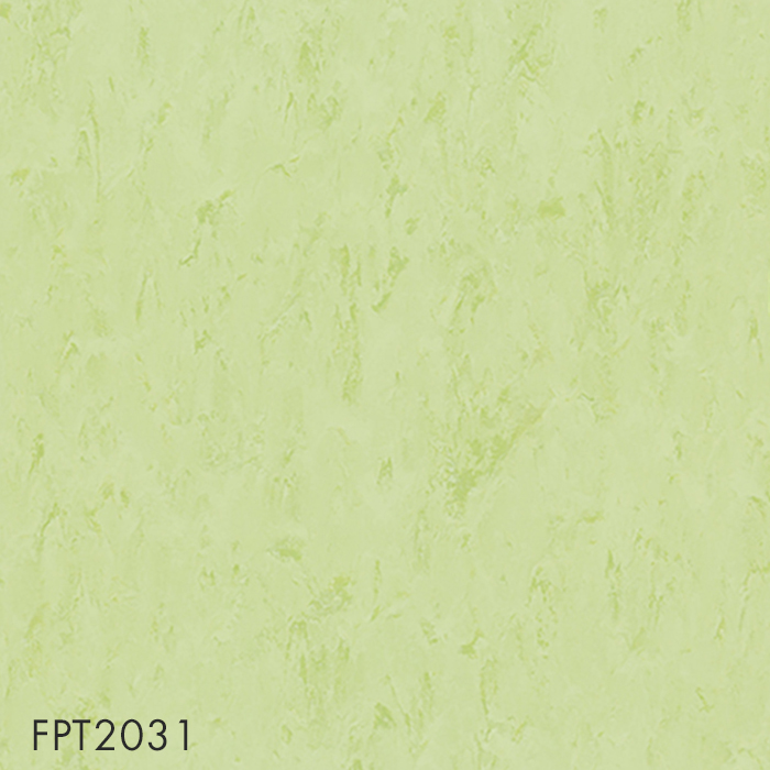 FPT2031
