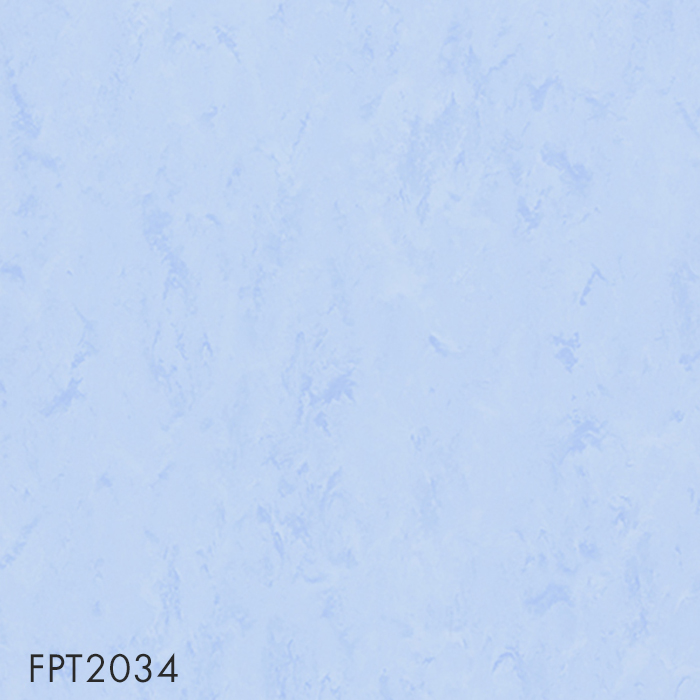 FPT2034