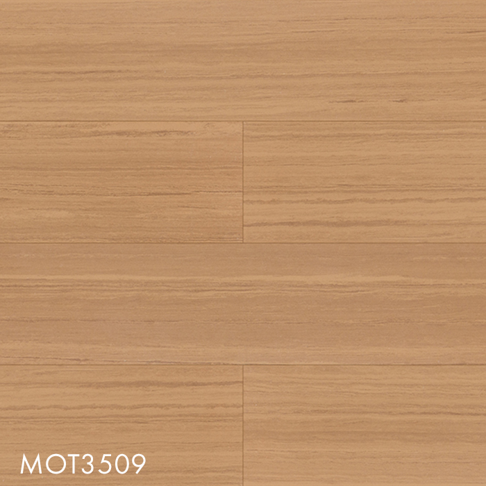 MOT3509