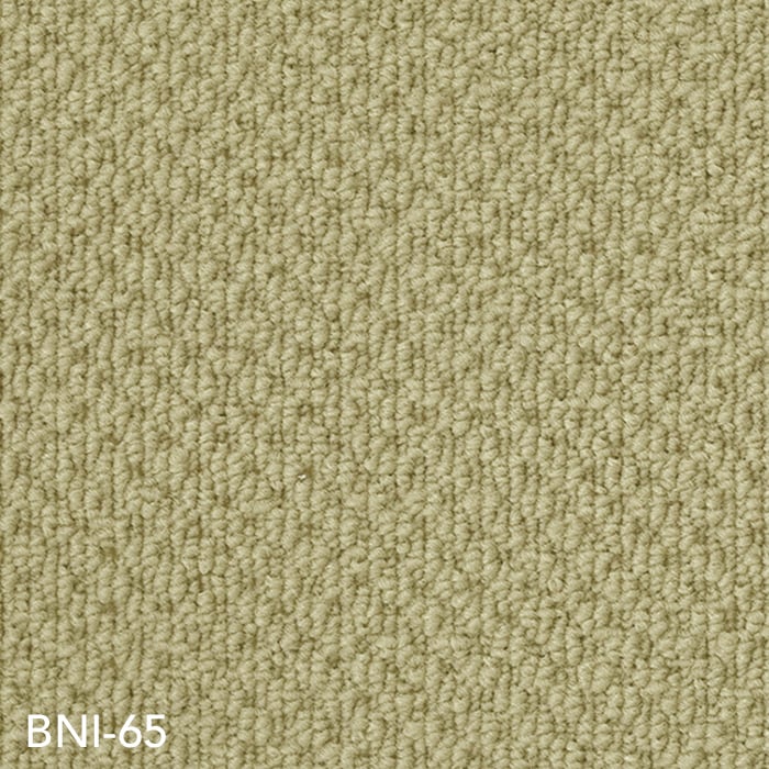 BNI-65