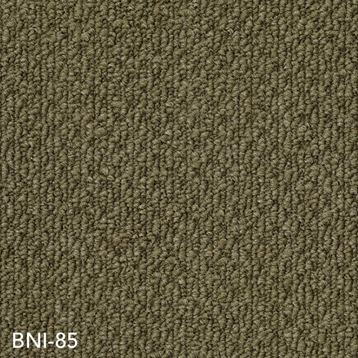 BNI-85