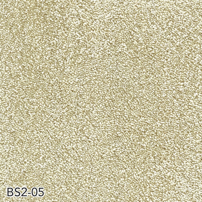 BS2-05