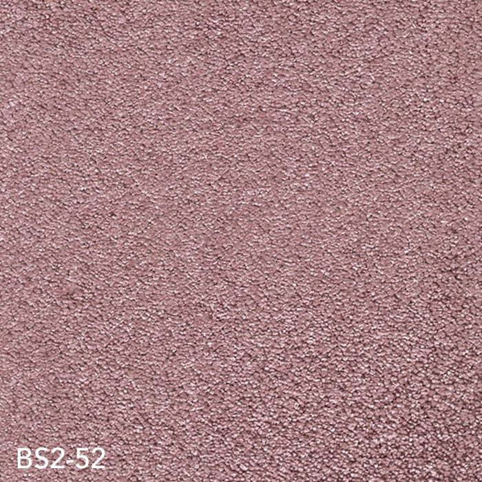 BS2-52