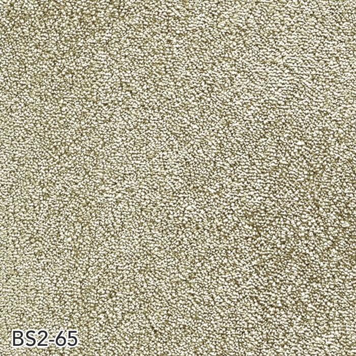 BS2-65