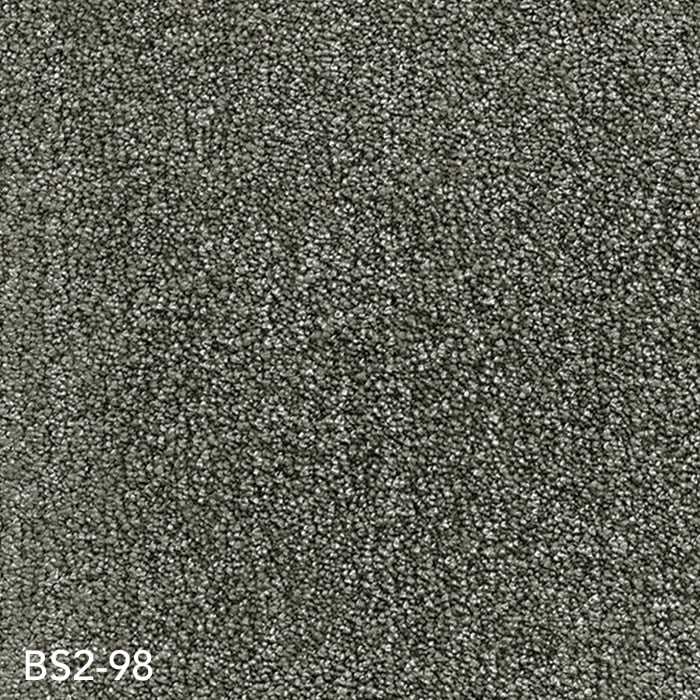 BS2-98