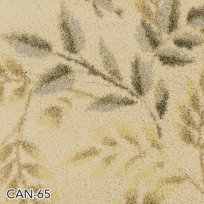 CAN-65