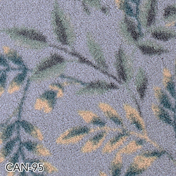 CAN-95