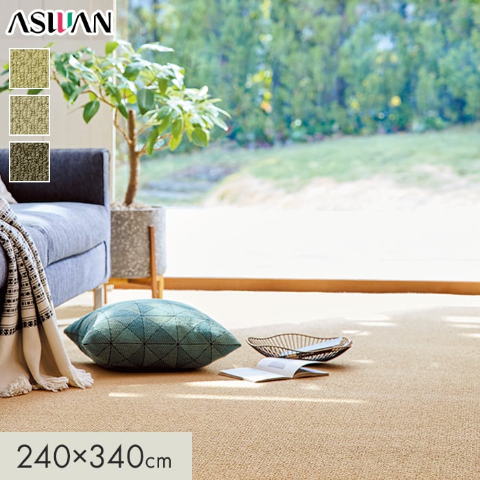 カーペット アスワン アスボニー 全厚8mm 240×340cm