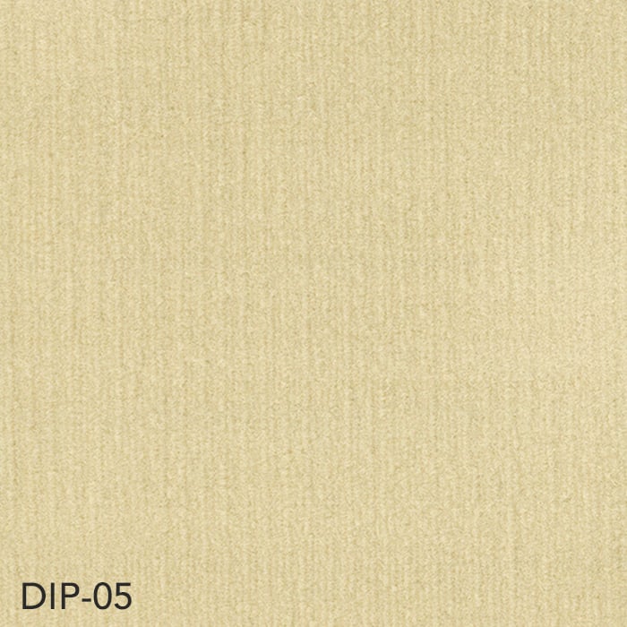 DIP-05