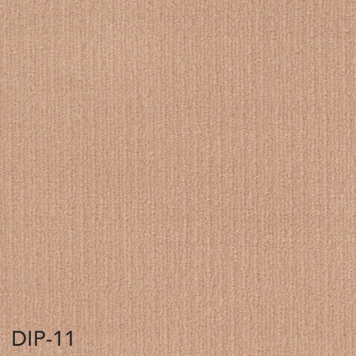 DIP-11