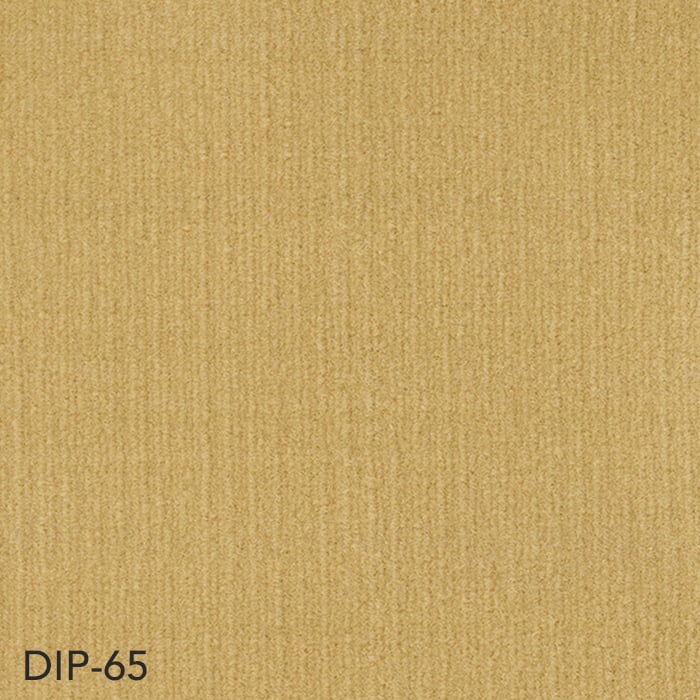 DIP-65