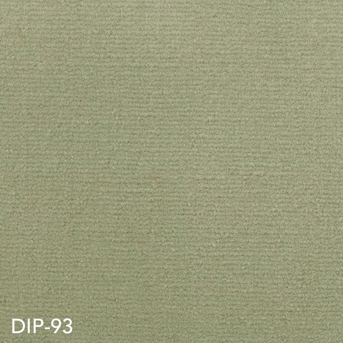 DIP-93