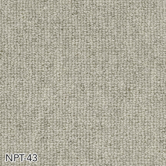 NPT-43