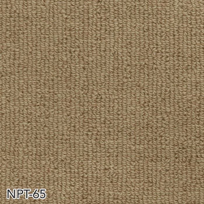 NPT-65