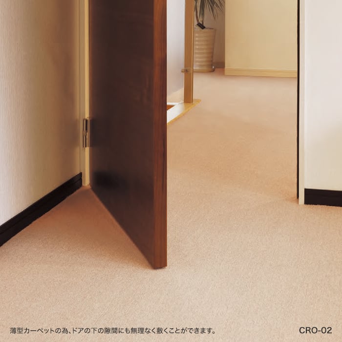 カーペット アスワン アスシャリオII 全厚6mm 240×340cm