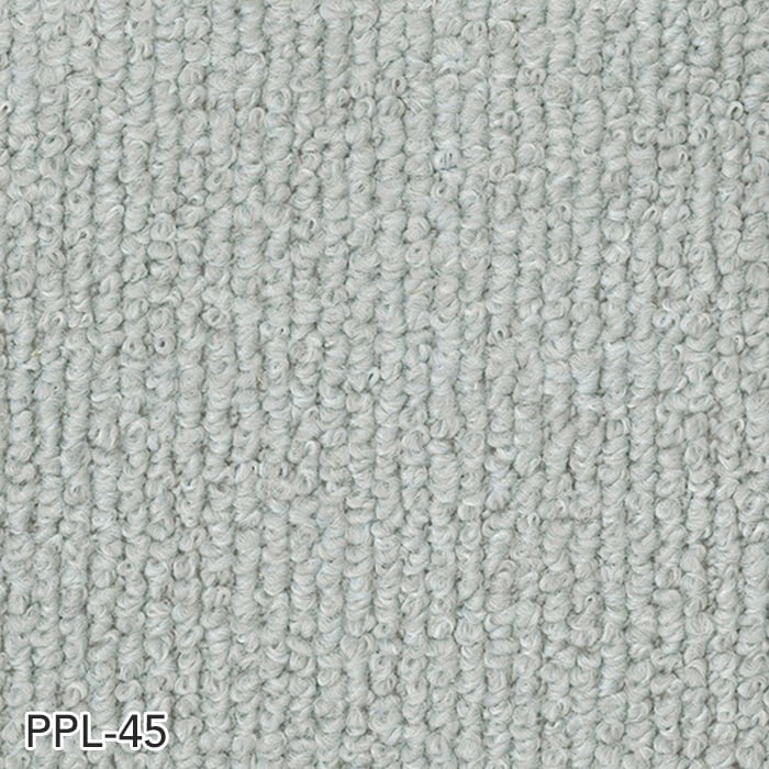 PPL-45