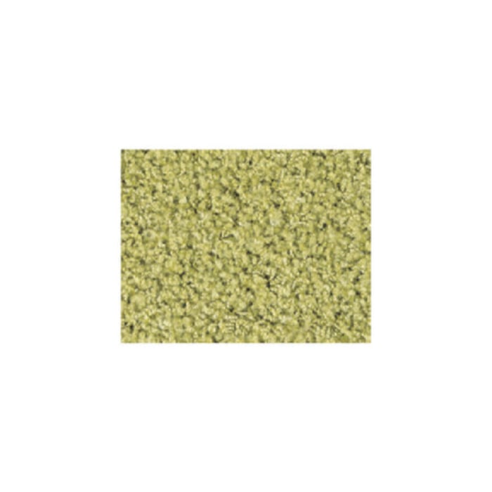 color chip