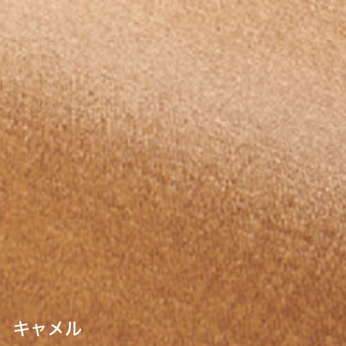 color chip