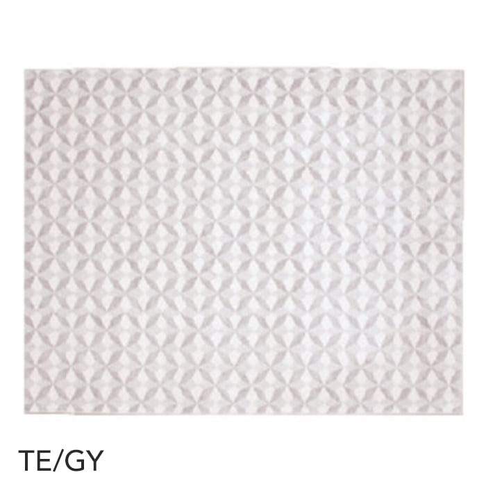 TE/GY