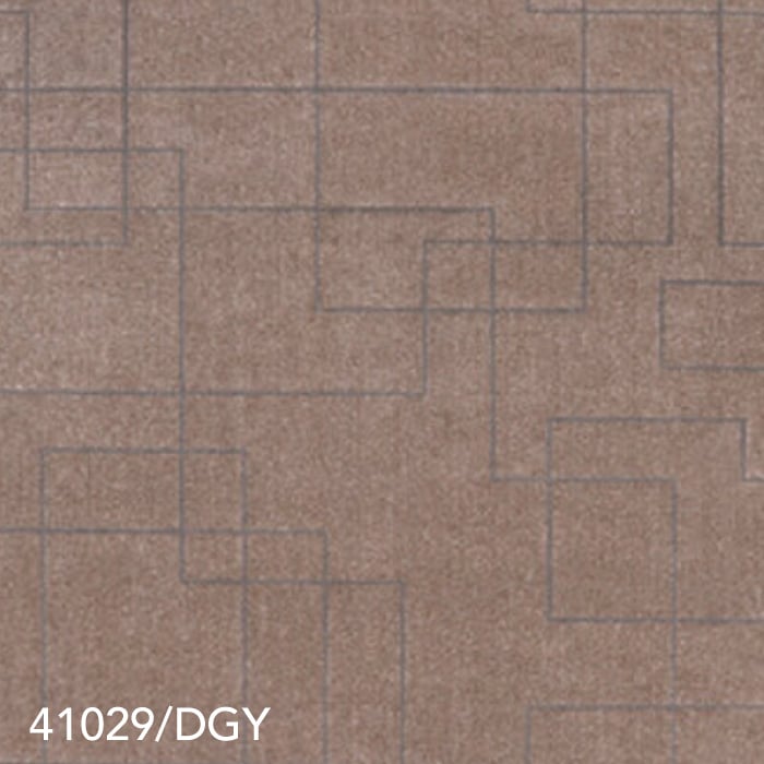 41029/DGY