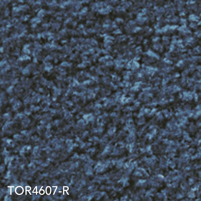 color chip