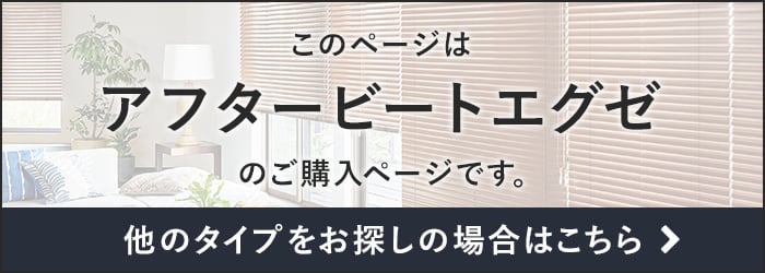 -アフタービートエグゼ