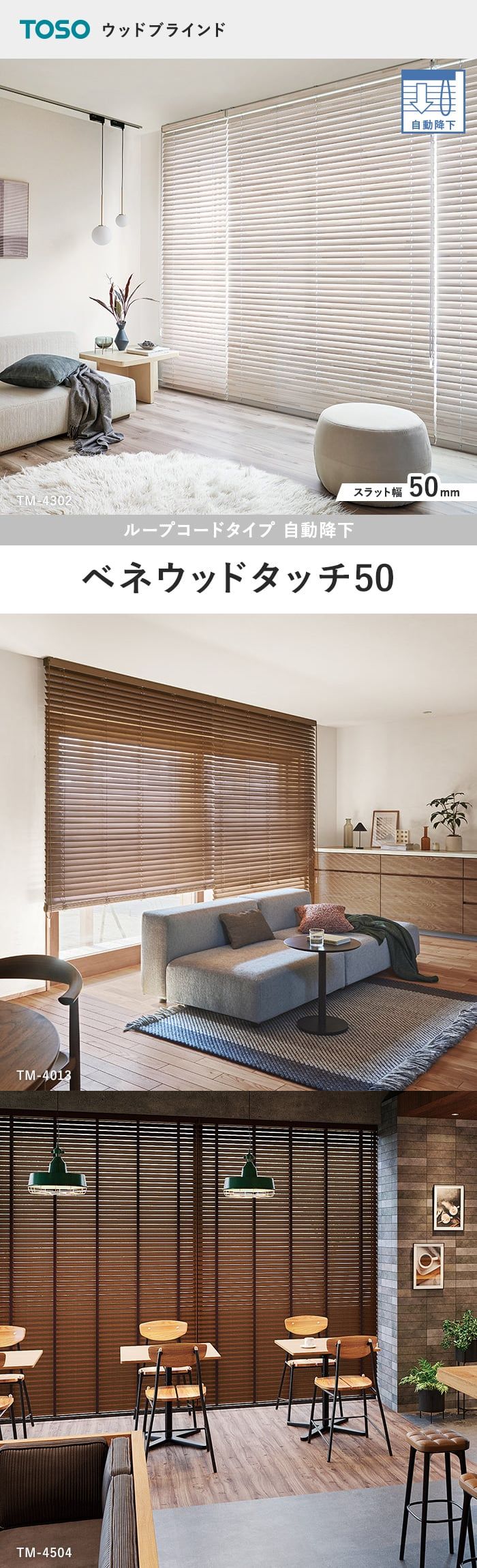 ベネウッドタッチ50