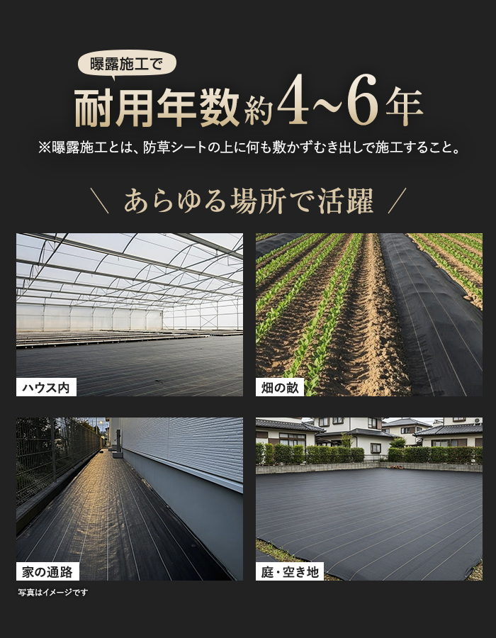 耐用年数約4~6年