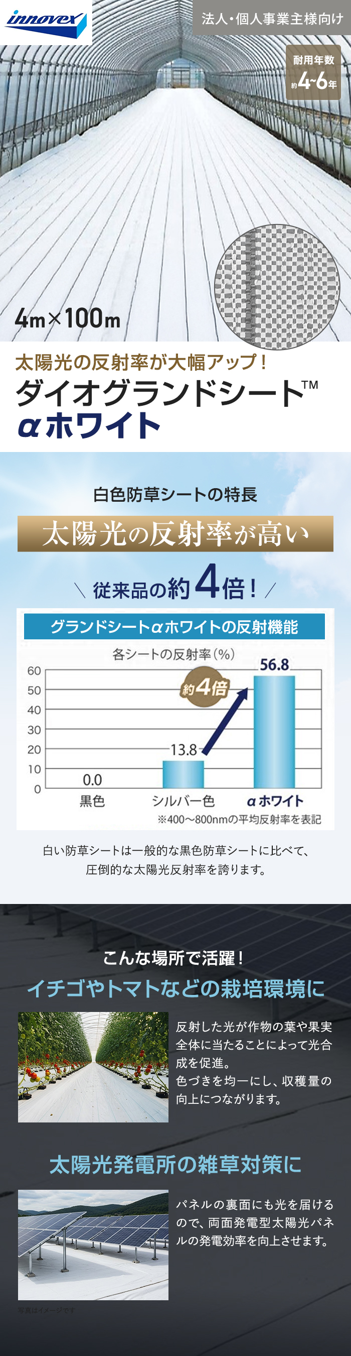 【法人・個人事業主様専用】イノベックス 防草シート ダイオグランドシート α ホワイト 1516OW 4m×100m